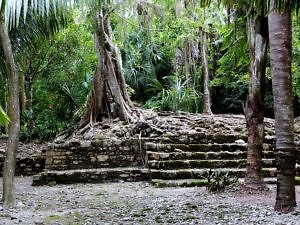 Ruinas Mayas remotas